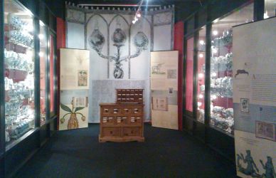 Apothecary Chest in Wilkinson Gallery